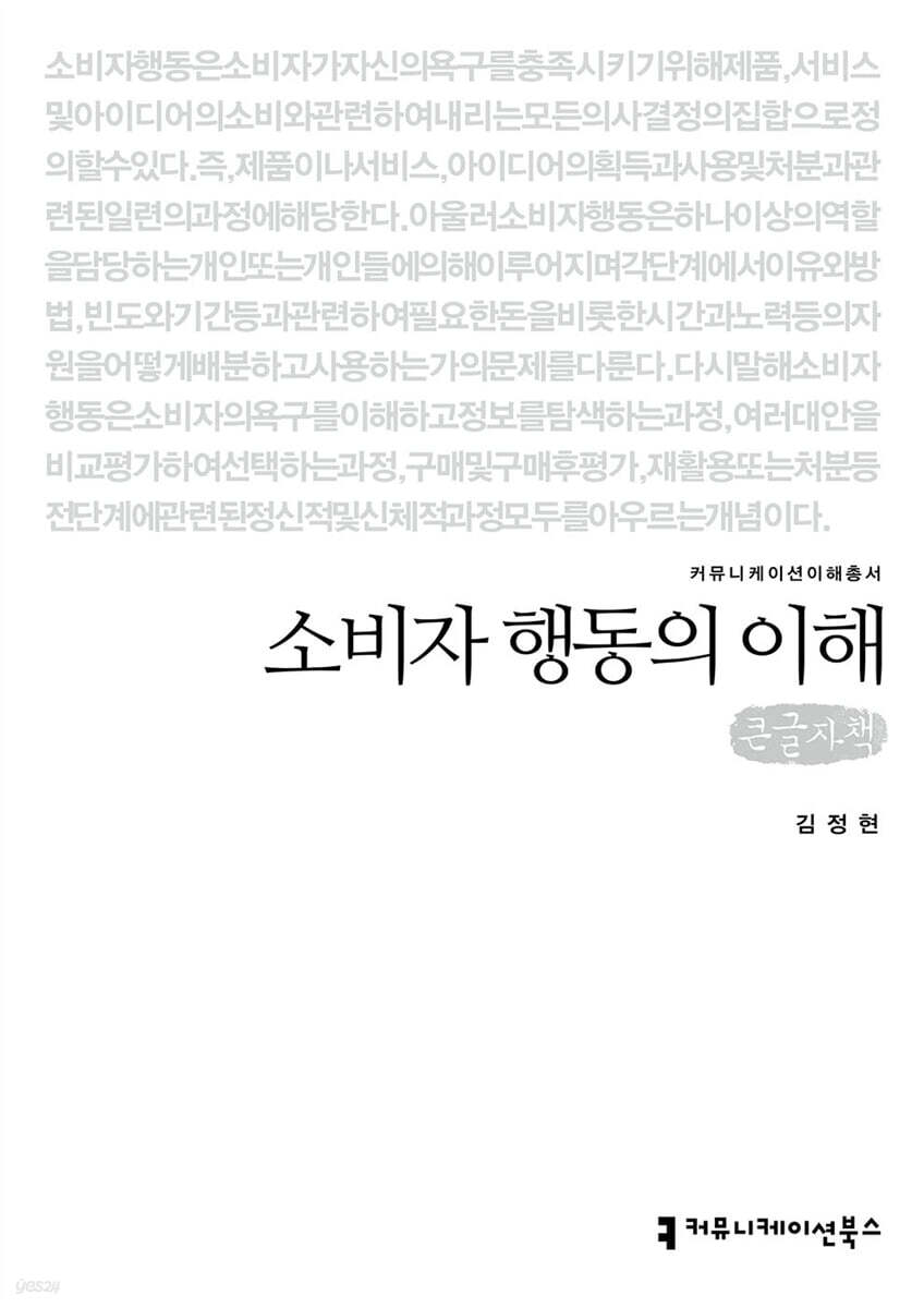소비자 행동의 이해 (큰글자책)