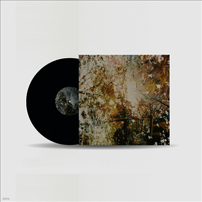 Haruka Nakamura,하루카 나카무라 — 春秋 Light Years : The North Face Sphere 앨범 커버