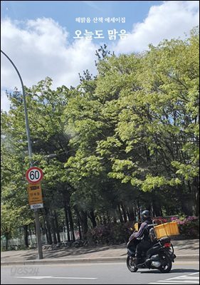 오늘도 맑음
