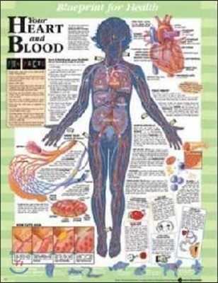 Blueprint for Health Your Heart and Blood Chart