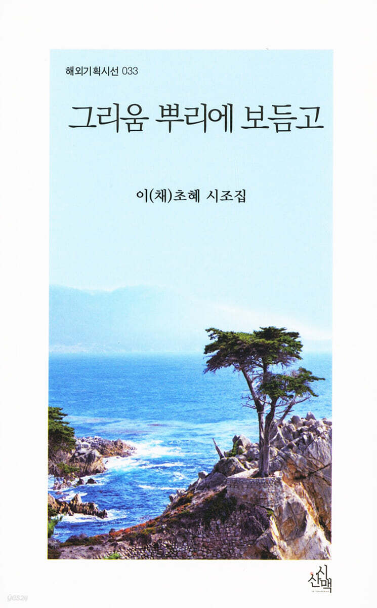 그리움 뿌리에 보듬고