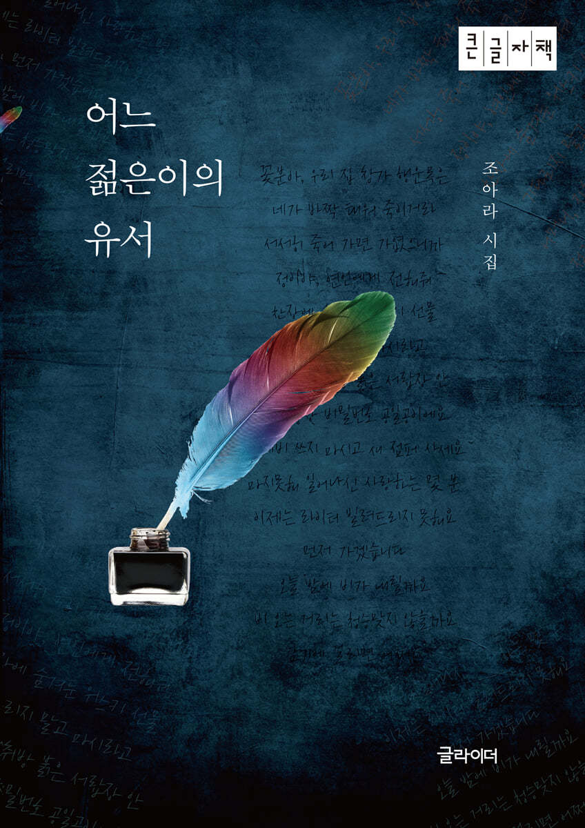 어느 젊은이의 유서 (큰글자책)
