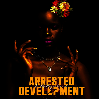 Arrested Development — Don't Fight Your Demons 앨범 커버