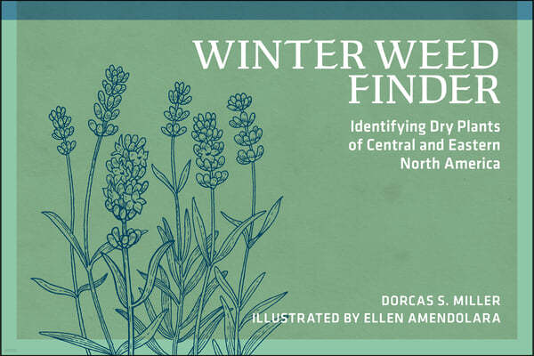 Winter Weed Finder: Identifying Dry Plants of Central and Eastern North America