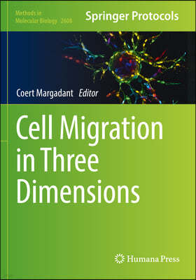 Cell Migration in Three Dimensions