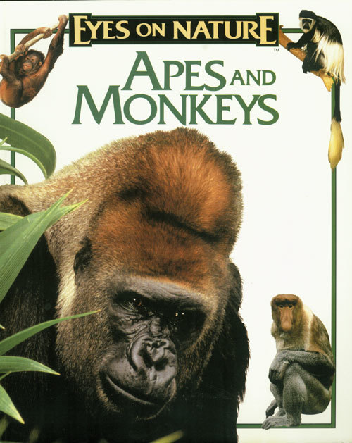 Apes and Monkeys (Eyes on Nature)