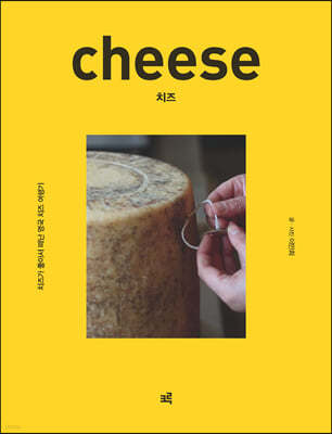 치즈(큰글자도서)