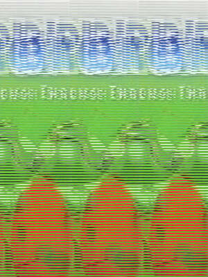 2025 P.I.R.A.M 피램 수능 국어 8개년 기출문제집 독서 해설편 (2024년)