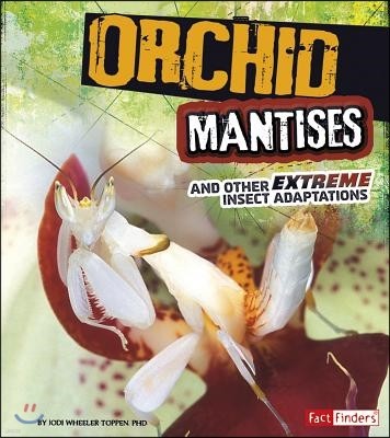 Orchid Mantises and Other Extreme Insect Adaptations