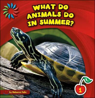 What Do Animals Do in Summer?