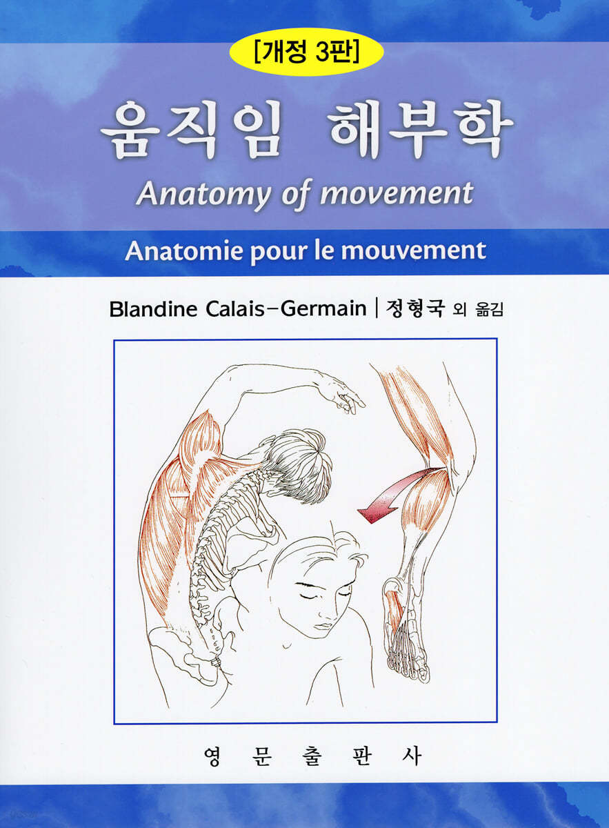 움직임 해부학