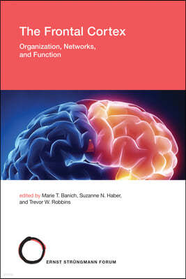 The Frontal Cortex: Organization, Networks, and Function
