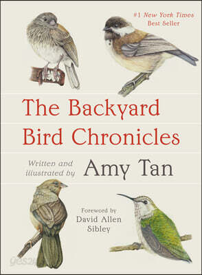 The Backyard Bird Chronicles