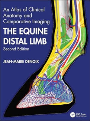 Equine Distal Limb