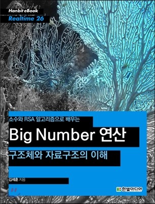 Ҽ RSA ˰  Big Number  