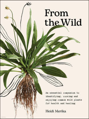 From the Wild: The Essential Companion to Identifying, Using and Enjoying Common Wild Plants for Health and Healing