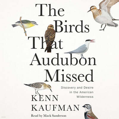 The Birds That Audubon Missed