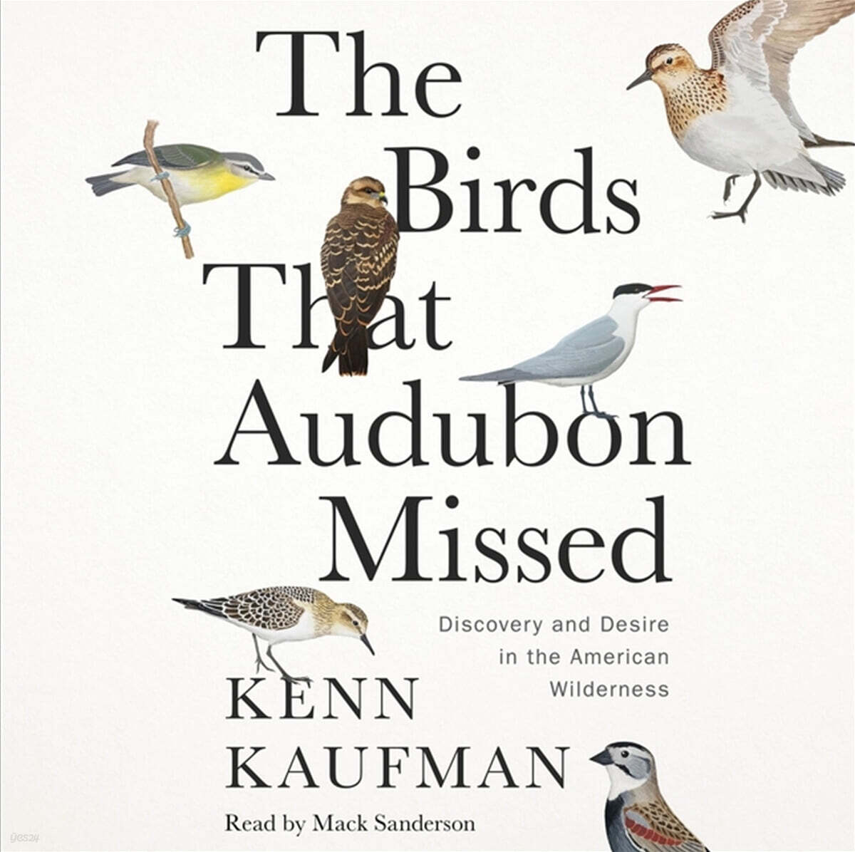 The Birds That Audubon Missed