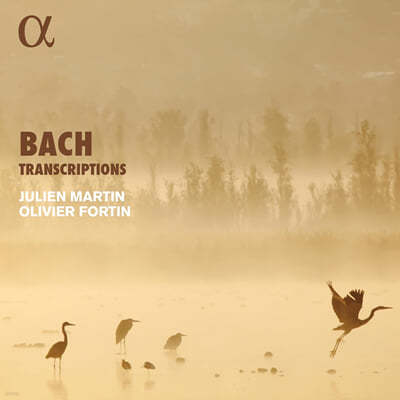 Julien Martin / Olivier Fortin : ڴ ڵ带   (Bach Transcriptions)