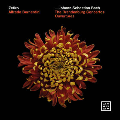 Alfredo Bernardini : θũ ְ &  (Bach: The Brandenburg Concertos & Ouvertures)