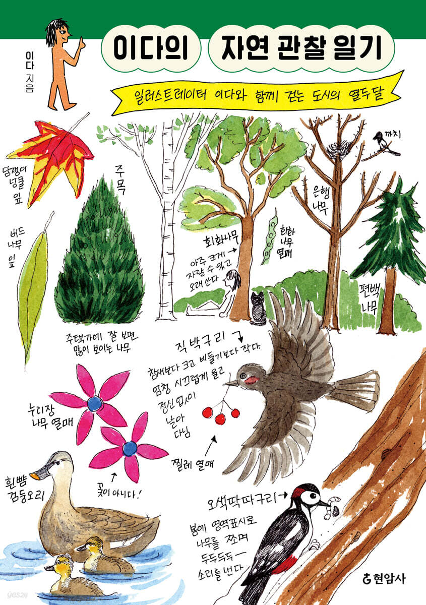 이다의 자연 관찰 일기 (큰글자도서)