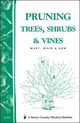 Pruning Trees, Shrubs & Vines