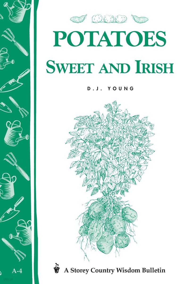 Potatoes, Sweet and Irish