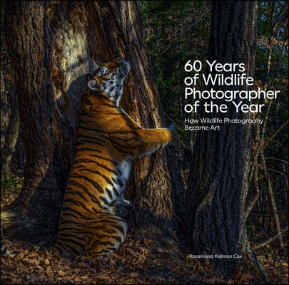 60 Years of Wildlife Photographer of the Year: How Wildlife Photography Became Art