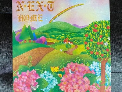 [LP] 넥스트 (Next) - 1집 Home LP [대영기획 DYS-001]