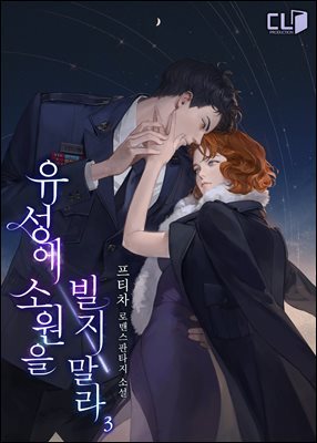 유성에 소원을 빌지 말라 3권