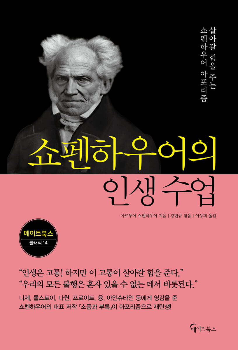 쇼펜하우어의 인생 수업 (큰글자도서)