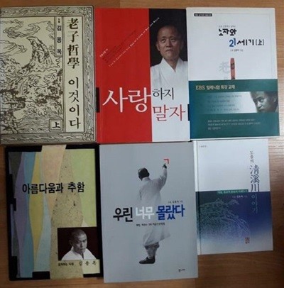 아름다움과 추함 + 노자철학 이것이다(상)+노자와 21세기(상)+사랑하지 말자+우린 너무 몰랐다+청계천 이야기 /(6권/김용옥/하단참조)