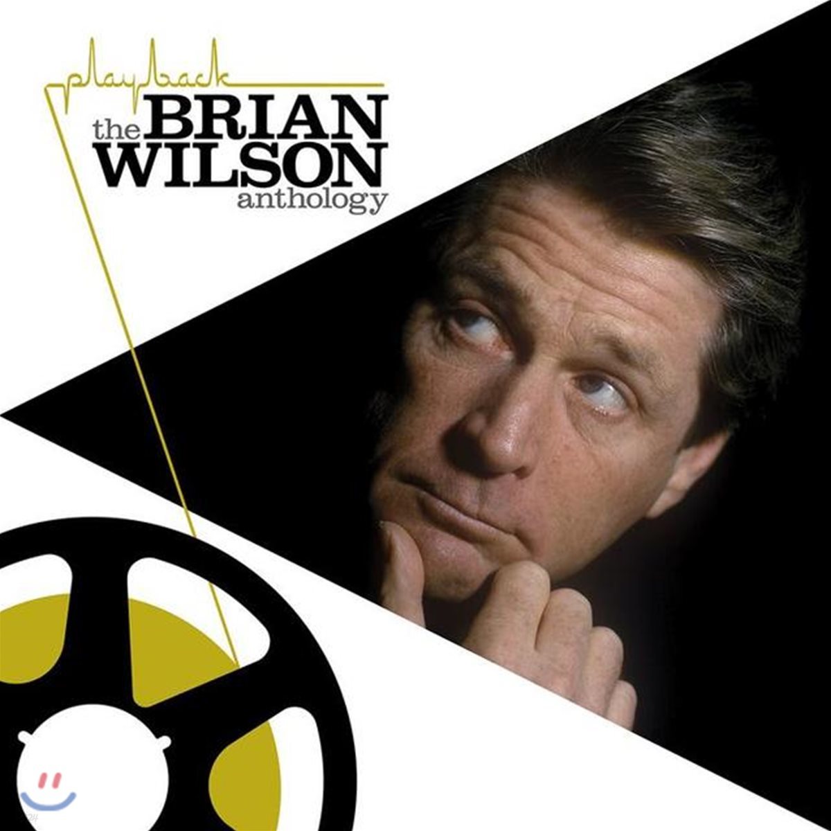 Brian Wilson (브라이언 윌슨) - Playback : The Brian Wilson Anthology [2 LP]