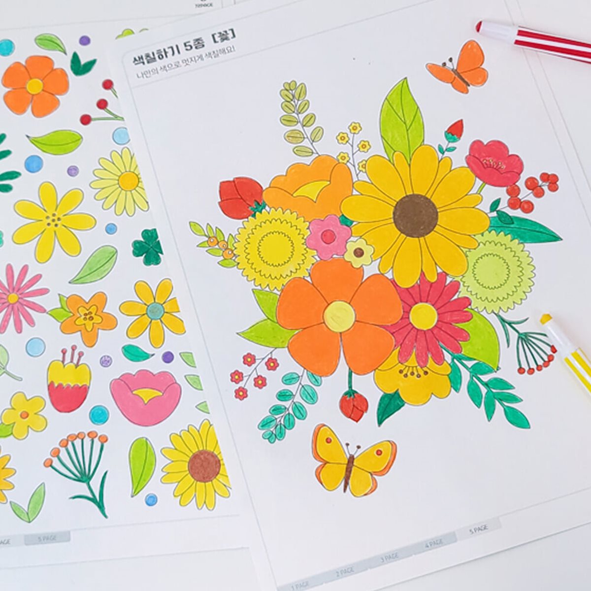 색칠공부 꽃 5종 그리기 DIY KIT 컬러링 도안 그림그리기 색칠하기 컬러링북