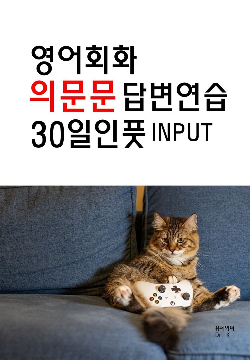 영어회화 의문문 답변연습 30일인풋 INPUT