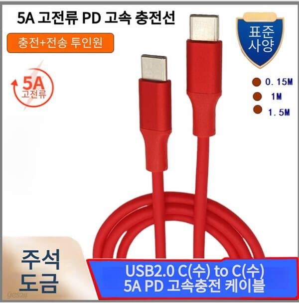 프로 USB2.0 C(수) to C(수) 5A PD 고속충전 케이블