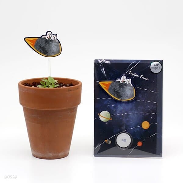 새싹키우기 관찰학습 식물 우주여행 과꽃 씨앗카드