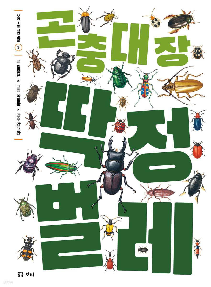 곤충 대장 딱정벌레