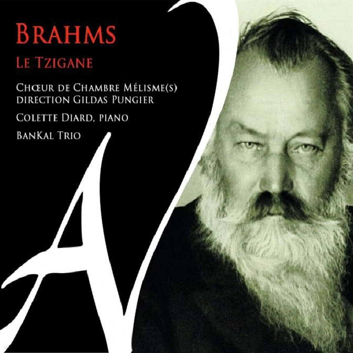 Gildas Pungier 브람스: 찌간느 (Brahms: Le Tzigane)