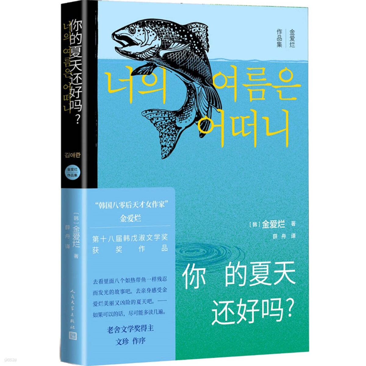 너의 여름은 어떠니 (중국어판) ?的夏天還好?？（金愛爛作品集）