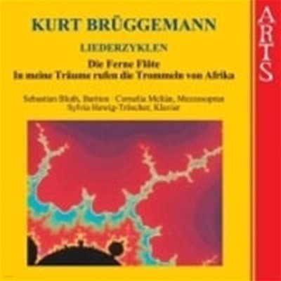 Sebastian Bluth, Cornelia Melian, Sylvia Hewig-Troscher / Bruggemann : Liederzyklen (수입/476082)