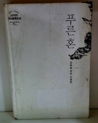 푸른 혼 - 김원일 연작 소설집