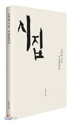 시집보내다