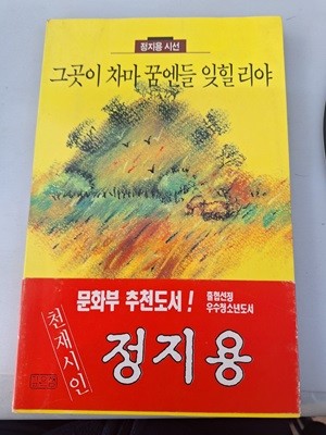 그곳이 차마 꿈엔들 잊힐리야 - 정지용 시선 | 정지용 (지은이)