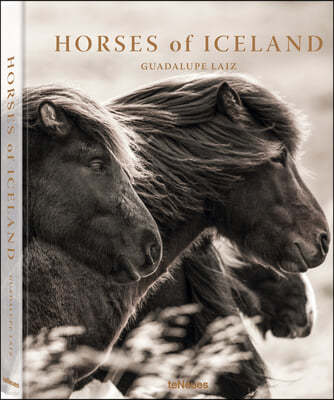 Horses of Iceland - Revised