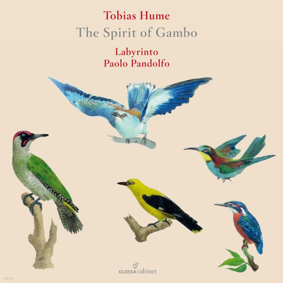 Labyrinto / Paolo Pandolfo 토비아스 흄: 감보의 영혼 (Hume: The Spirit of Gambo)