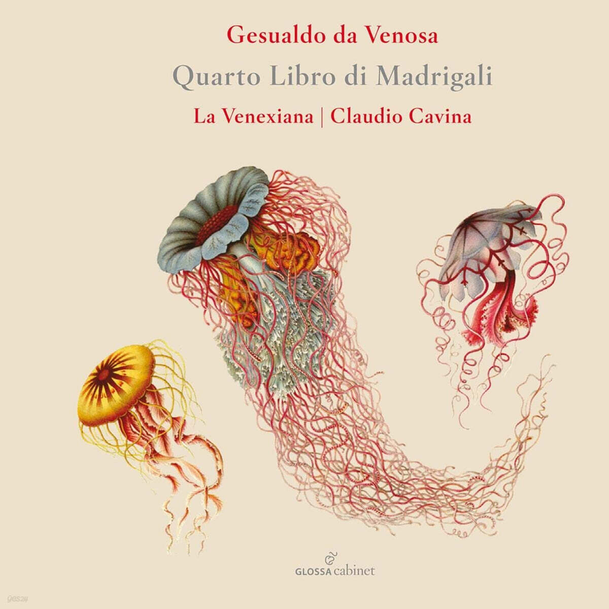 Claudio Cavina / La Venexiana 제수알도: 마드리갈 4권 (Gesualdo: Quarto Libro di Madrigali - Madrigals Book4)