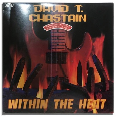 [국내반LP] David T. Chastain - Within The Heat