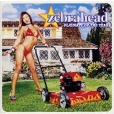 Zebrahead / Playmate Of The Year (Bonus Tracks/일본수입)