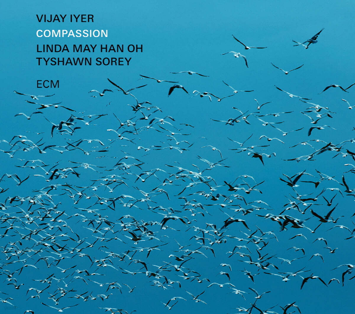 Vijay Iyer (비제이 아이어) - Compassion 